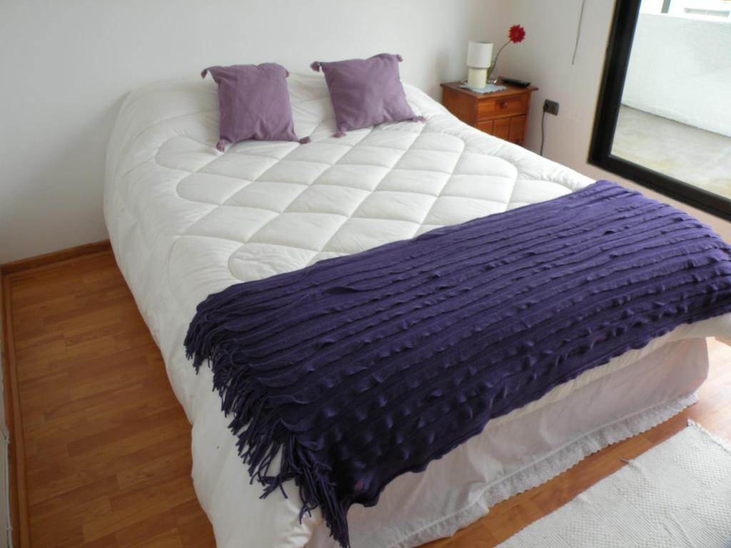 B&B Hostel Casamoro Vina del Mar Oda fotoğraf